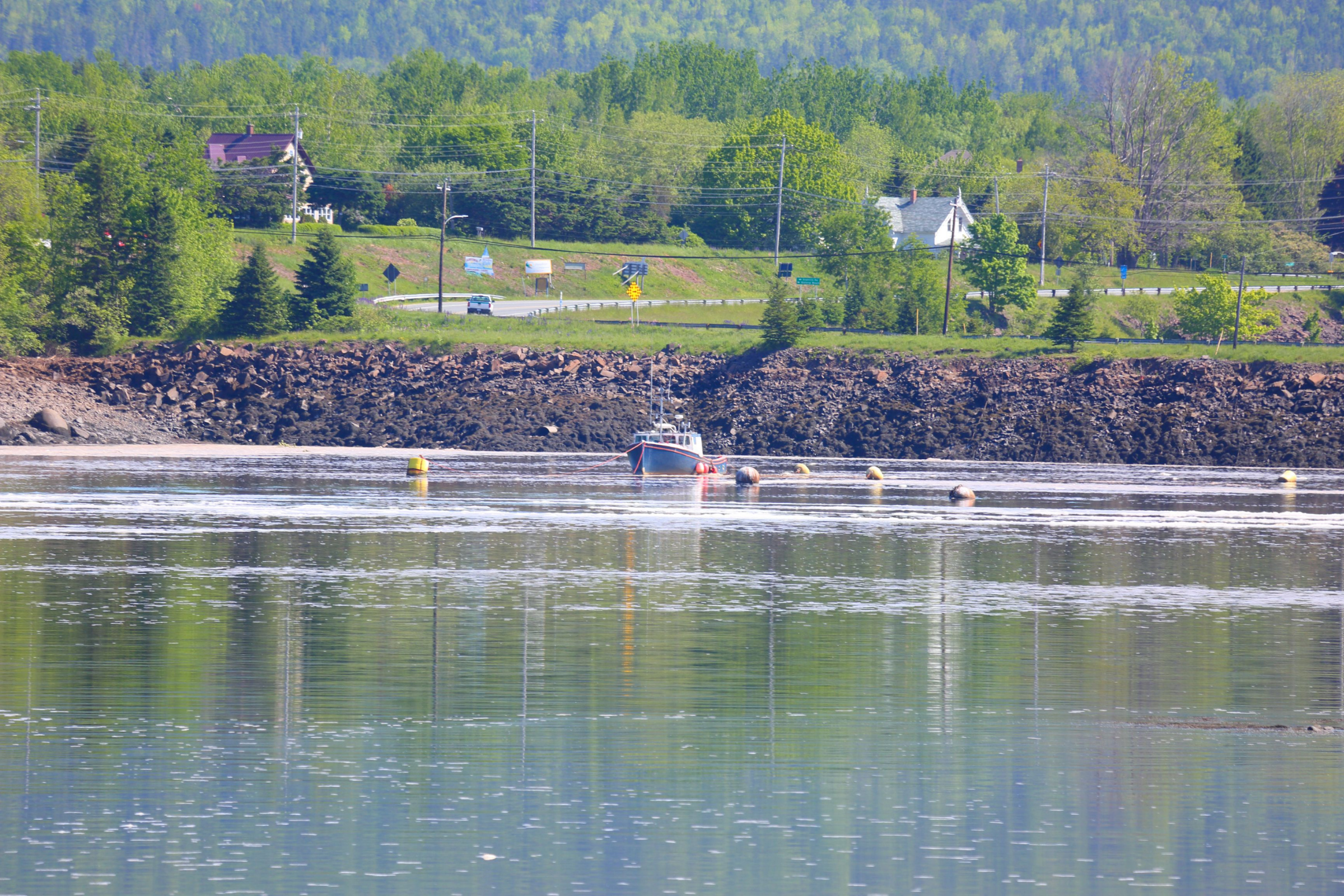 annapolis royal, nova scotia.webp